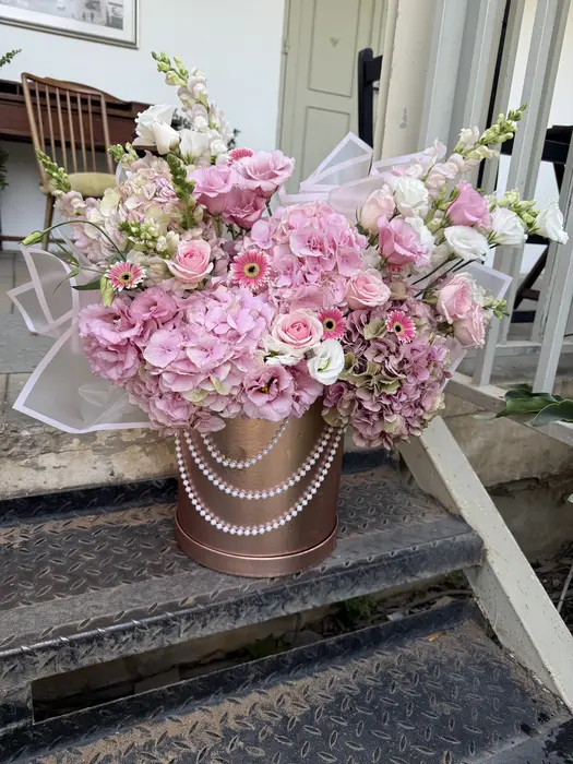 מודמואזל בוקס